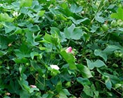 �������~��������޻��߮a��